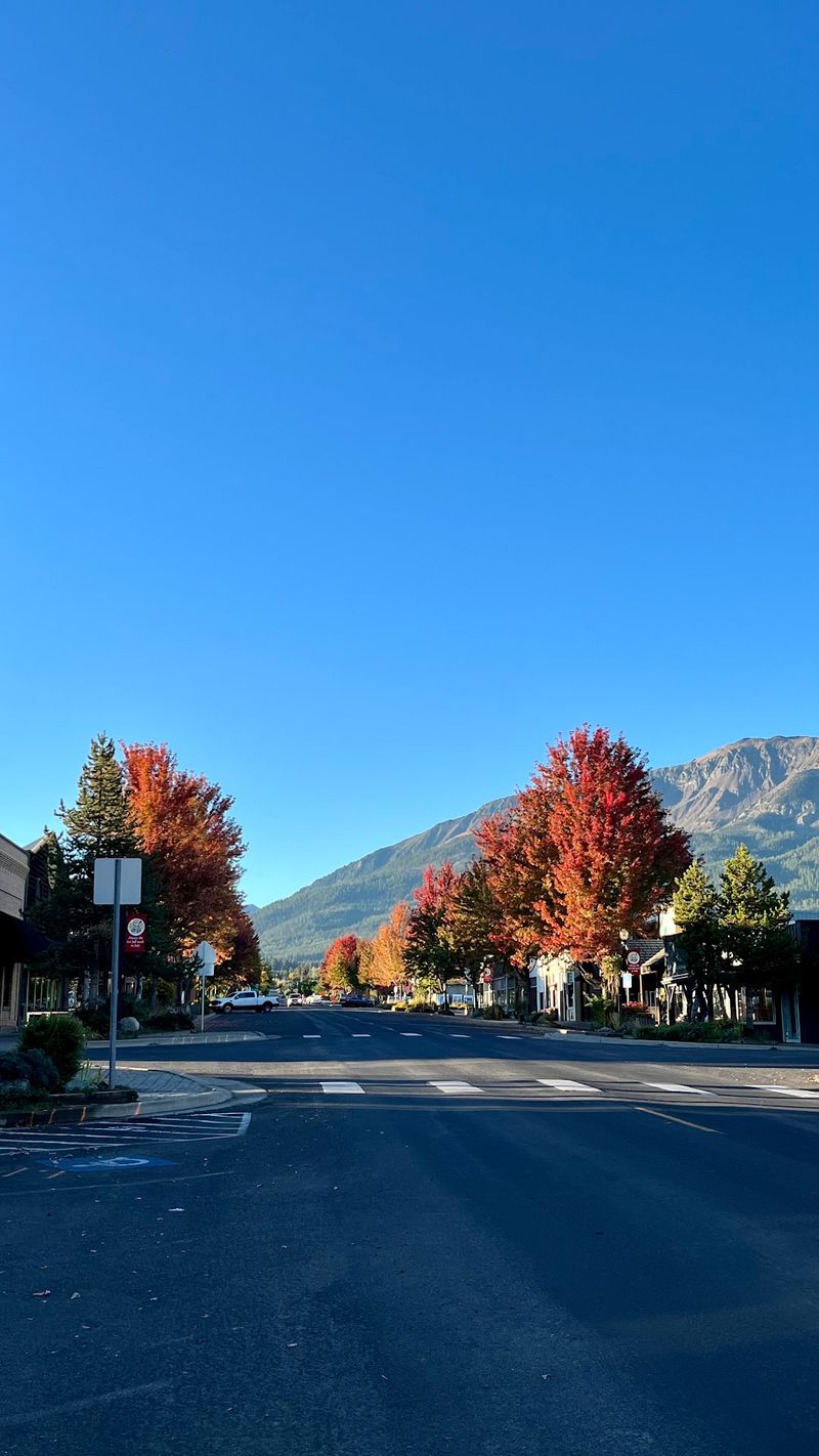 Seasons That Change the Whole Mood Seasons That Change the Whole Mood