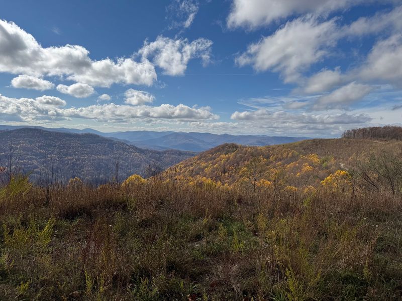 Seasons That Reshape the Ride Seasons That Reshape the Ride