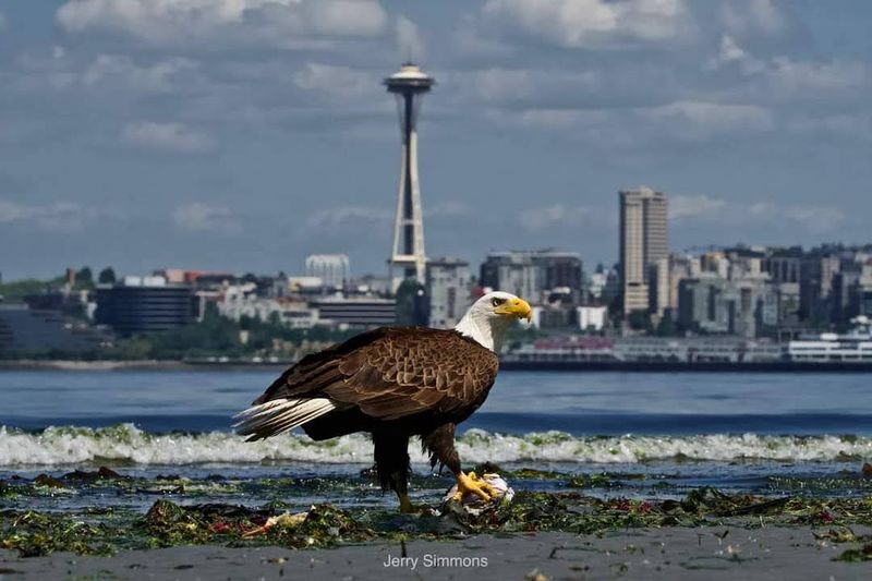 Seattle, Washington Seattle, Washington