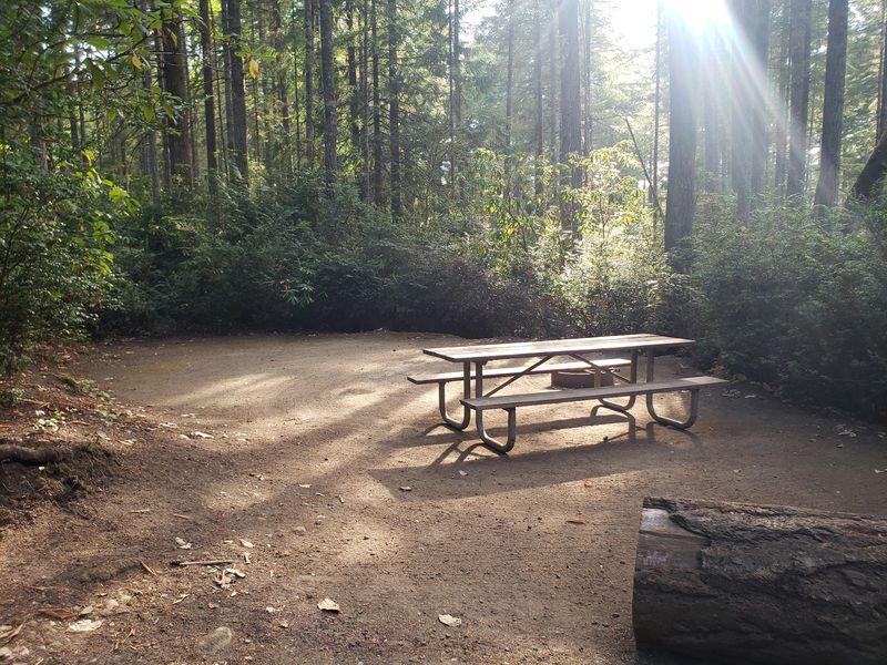 Secluded Campsites Deep in the Woods