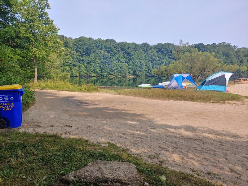 Security, Safety, and How the Park Runs
