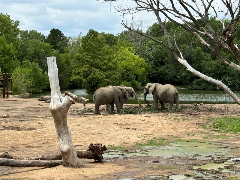Sedgwick County Zoo, Wichita, Kansas