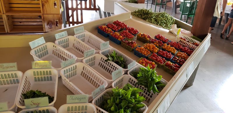 Seedlings, Plants, and Garden Starters Seedlings, Plants, and Garden Starters