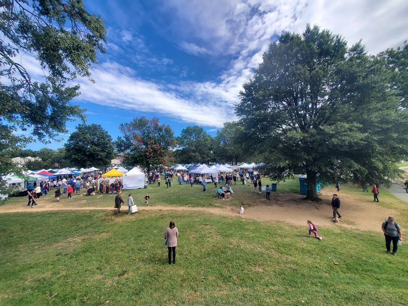 Separation Day and the Festivals That Fill the Park