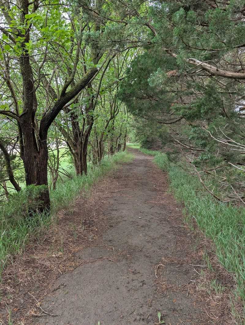 Seventeen Miles of Trails and the Nature Ninja Course Seventeen Miles of Trails and the Nature Ninja Course