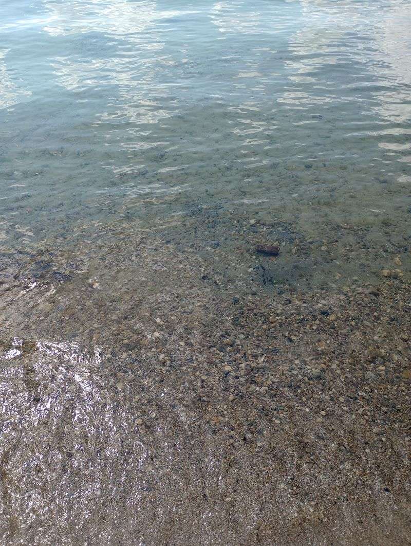 Shells, Rocks, and Little Treasures