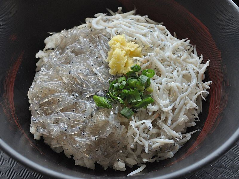 Shirasu