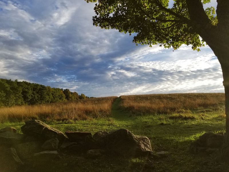 Short Trails With a Little Bit of Everything Short Trails With a Little Bit of Everything