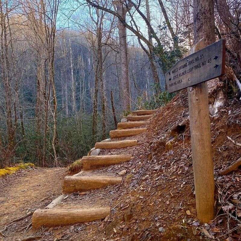 Short hikes turn a drive into an outing Short hikes turn a drive into an outing