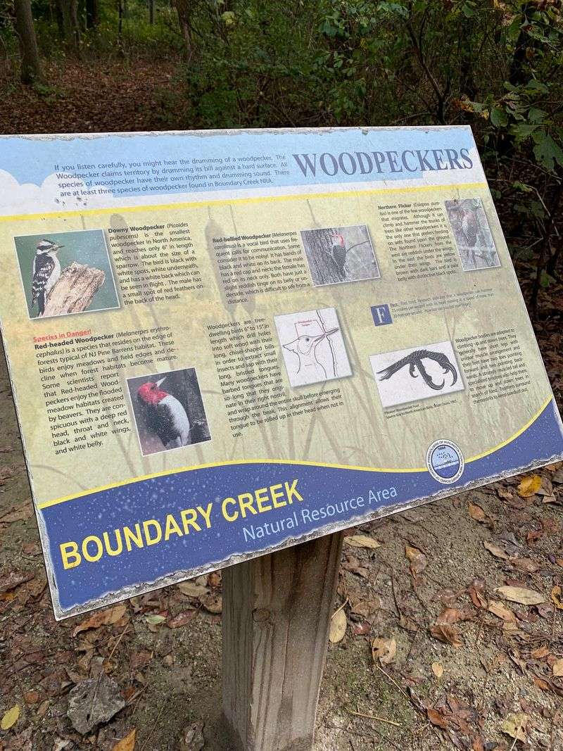Signs, Plaques, And A Butterfly Kiosk With A Purpose