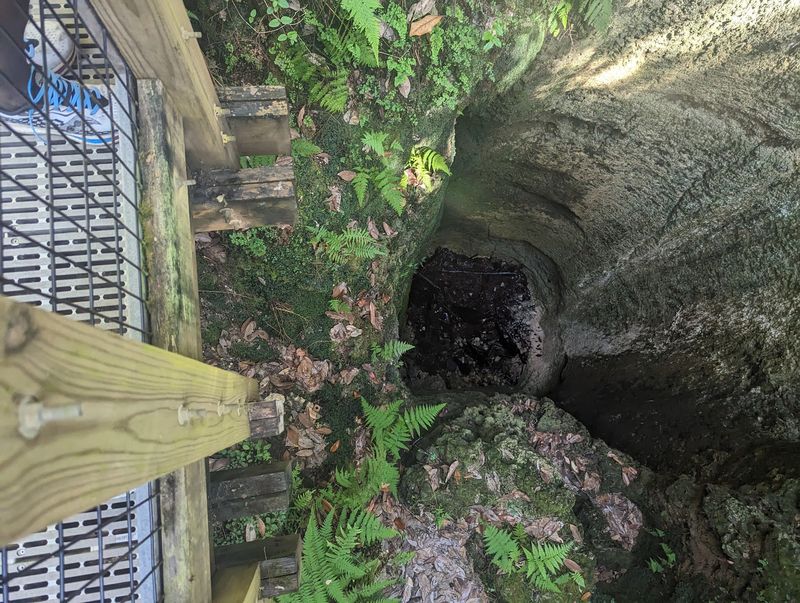 Sinkholes Scattered Through the Woods Sinkholes Scattered Through the Woods