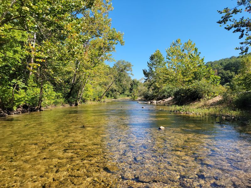 Sinking Creek's Clear Waters: A Swimmer's and Angler's Delight Sinking Creek's Clear Waters: A Swimmer's and Angler's Delight