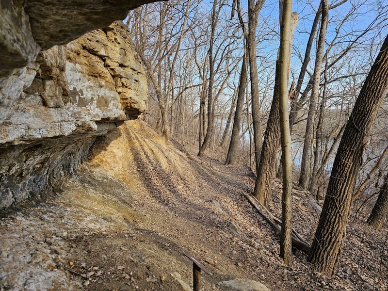 Six Miles of Wooded Trails: What to Expect on the Ground