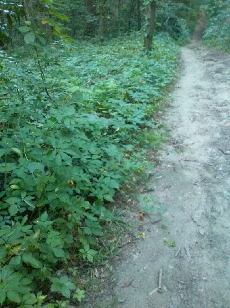 Small Enough to Never Truly Lose Your Way Small Enough to Never Truly Lose Your Way