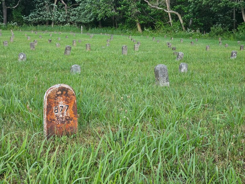 Small Forgotten And Sad Small Forgotten And Sad