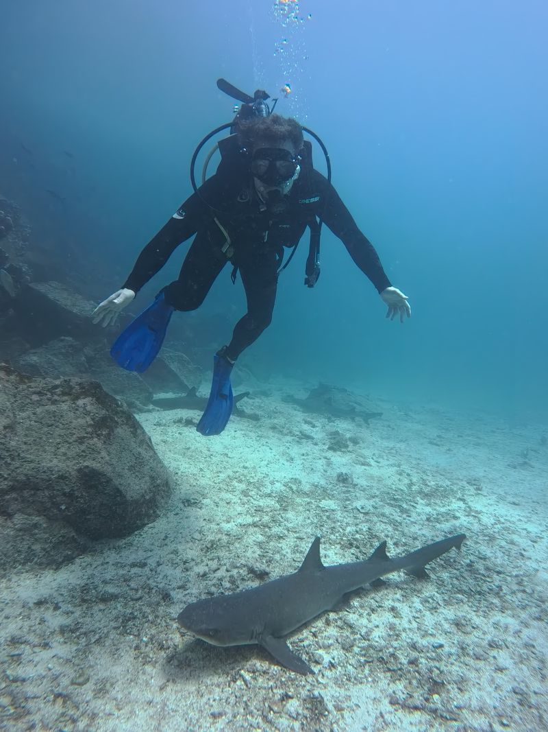 Snorkel With Wildlife in the Galapagos, Ecuador Snorkel With Wildlife in the Galapagos, Ecuador