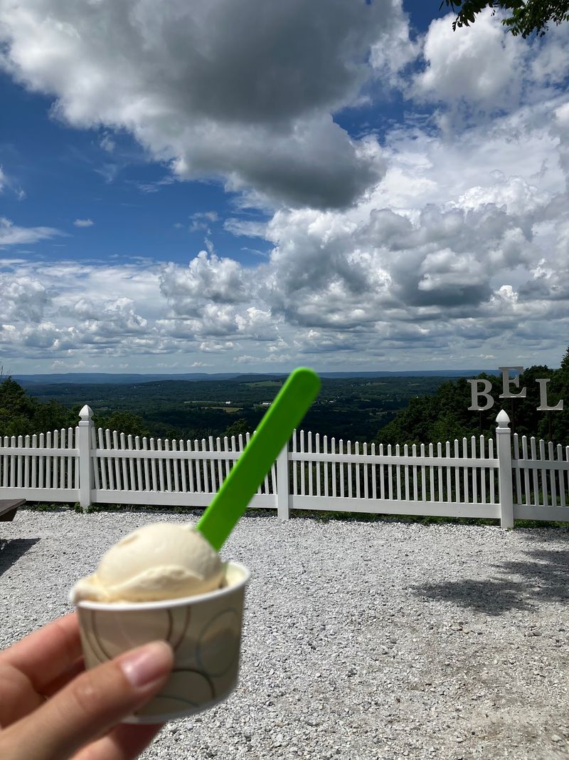Soft Serve and Frozen Yogurt for the Loyalists