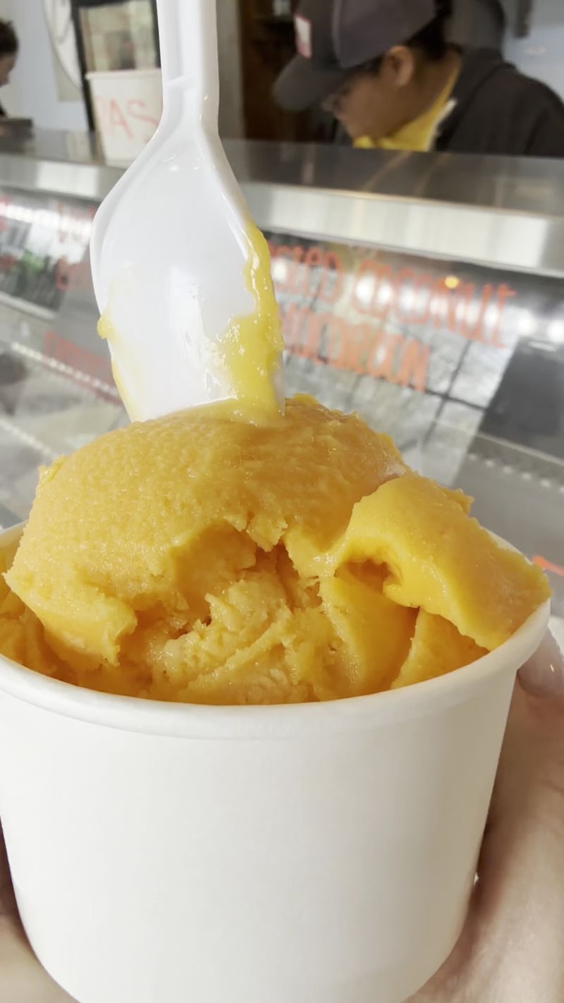 Sorbet Options for Non-Dairy Visitors Sorbet Options for Non-Dairy Visitors