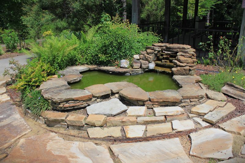 South Arkansas Arboretum, El Dorado, Arkansas