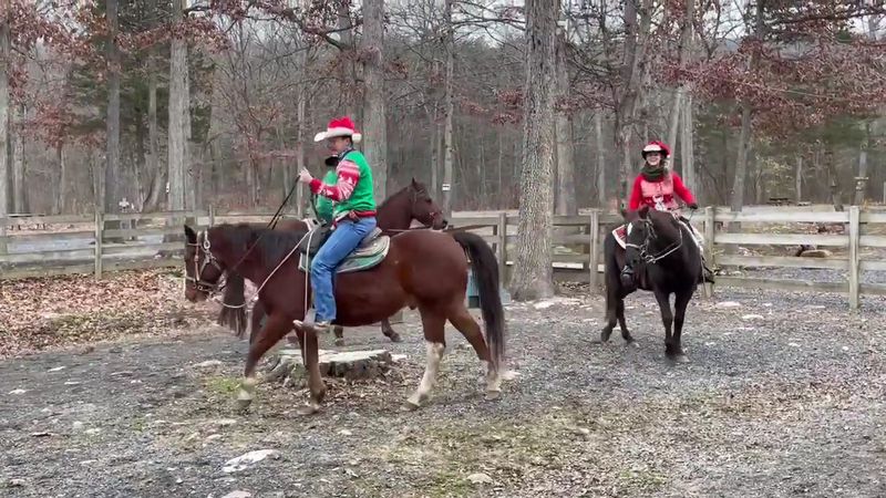 Special Event Rides That Go Beyond the Standard Trail Special Event Rides That Go Beyond the Standard Trail