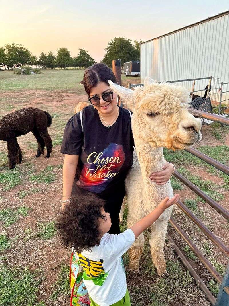 Special Events and Alpaca Festival Days