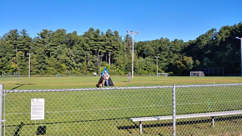 Sports Fields, a Track, and Plenty of Room to Be Active Sports Fields, a Track, and Plenty of Room to Be Active