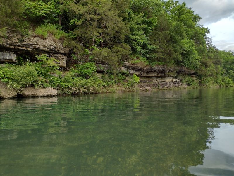 Spring Creek and the Water That Makes It Worth It Spring Creek and the Water That Makes It Worth It