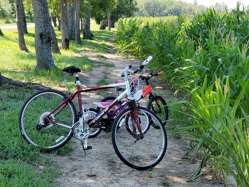 Springfield - Little Miami Scenic Trail and Simon Kenton Trail Springfield - Little Miami Scenic Trail and Simon Kenton Trail