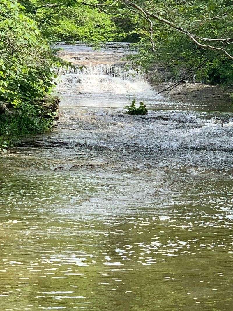 St. Francois State Park, Bonne Terre, Missouri