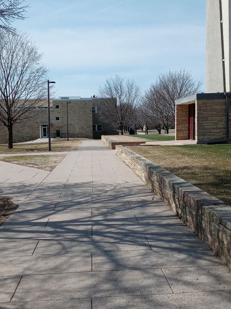St. Peter as a College Town