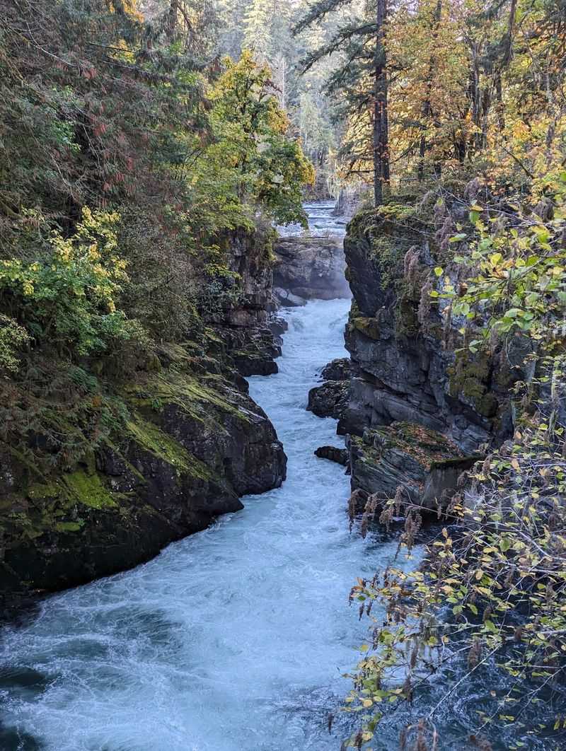 Stamp River, Port Alberni, British Columbia, Canada Stamp River, Port Alberni, British Columbia, Canada