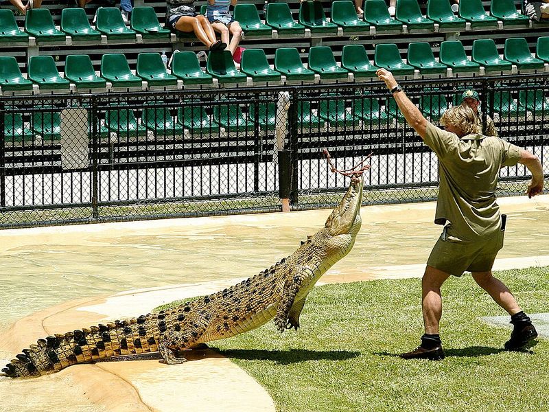 Steve Irwin (1962-2006)