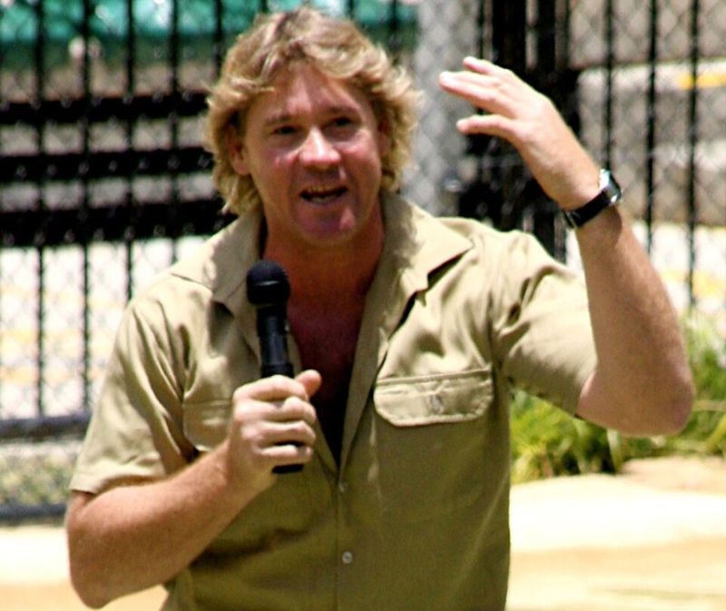 Steve Irwin - Wildlife Expert Steve Irwin - Wildlife Expert