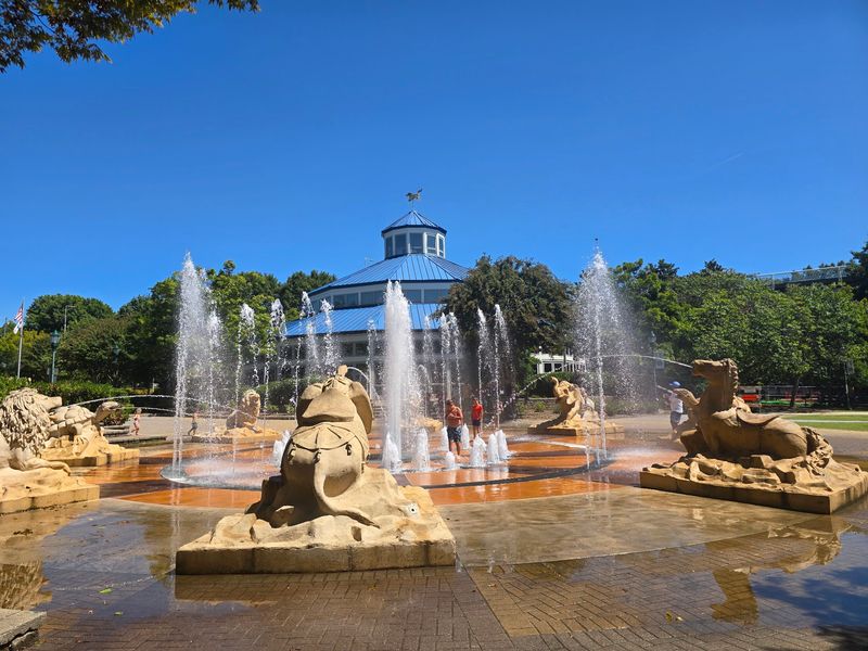 Stone Animals and a Summer Splash Pad Outside Stone Animals and a Summer Splash Pad Outside
