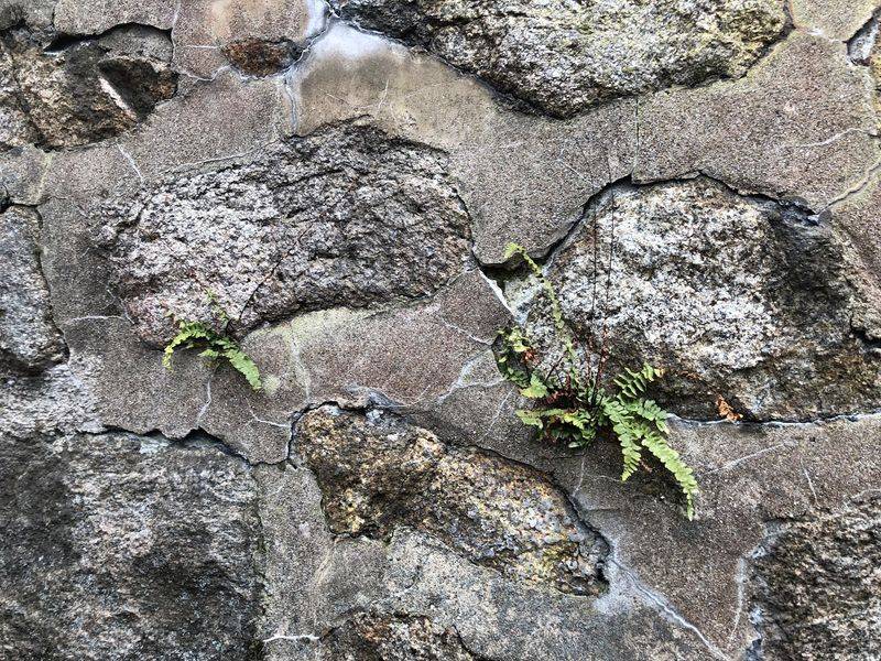 Stone Walls And Estate Clues Stone Walls And Estate Clues
