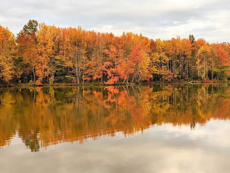 Stonelick State Park, Pleasant Plain Stonelick State Park, Pleasant Plain