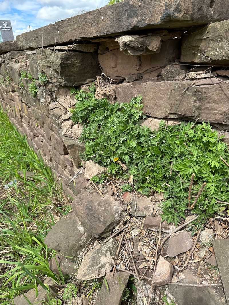 Stones, Signs, And A Fragmented View