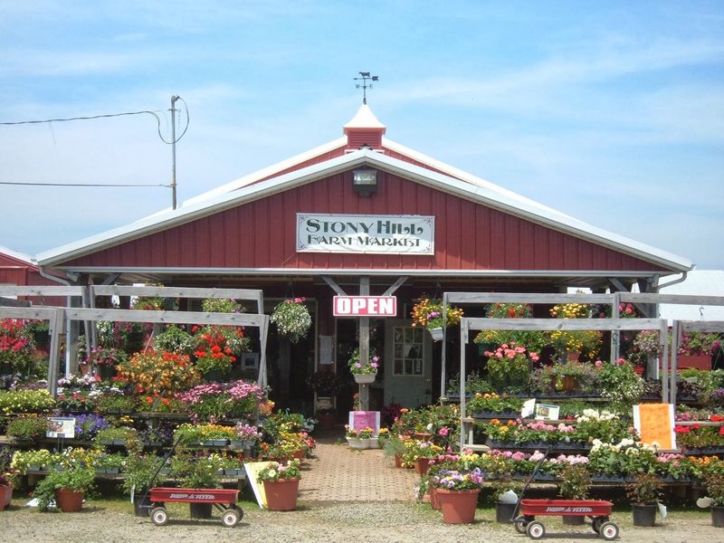 Stony Hill Farms, Chester, NJ Stony Hill Farms, Chester, NJ