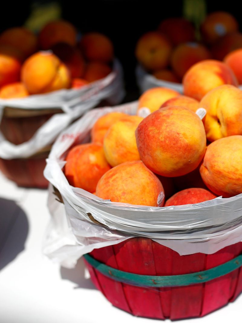 Stratford makes the orchard claim its own kind of spectacle