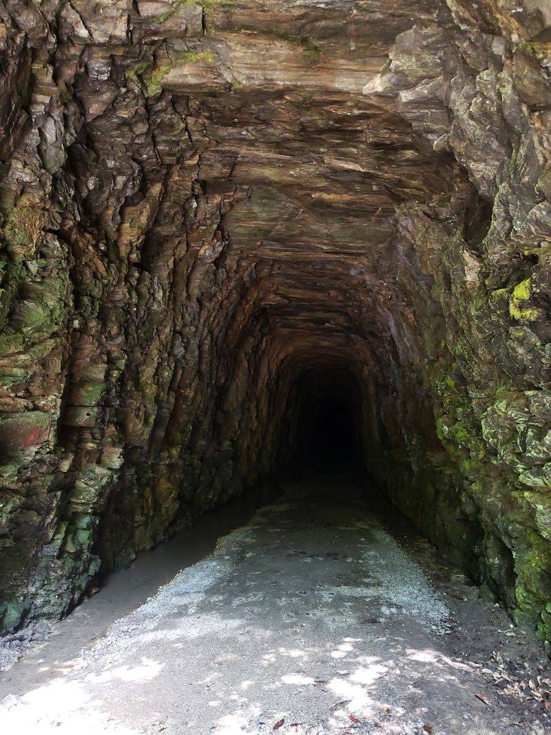 Stump House Tunnel, the Star of the Trail Stump House Tunnel, the Star of the Trail