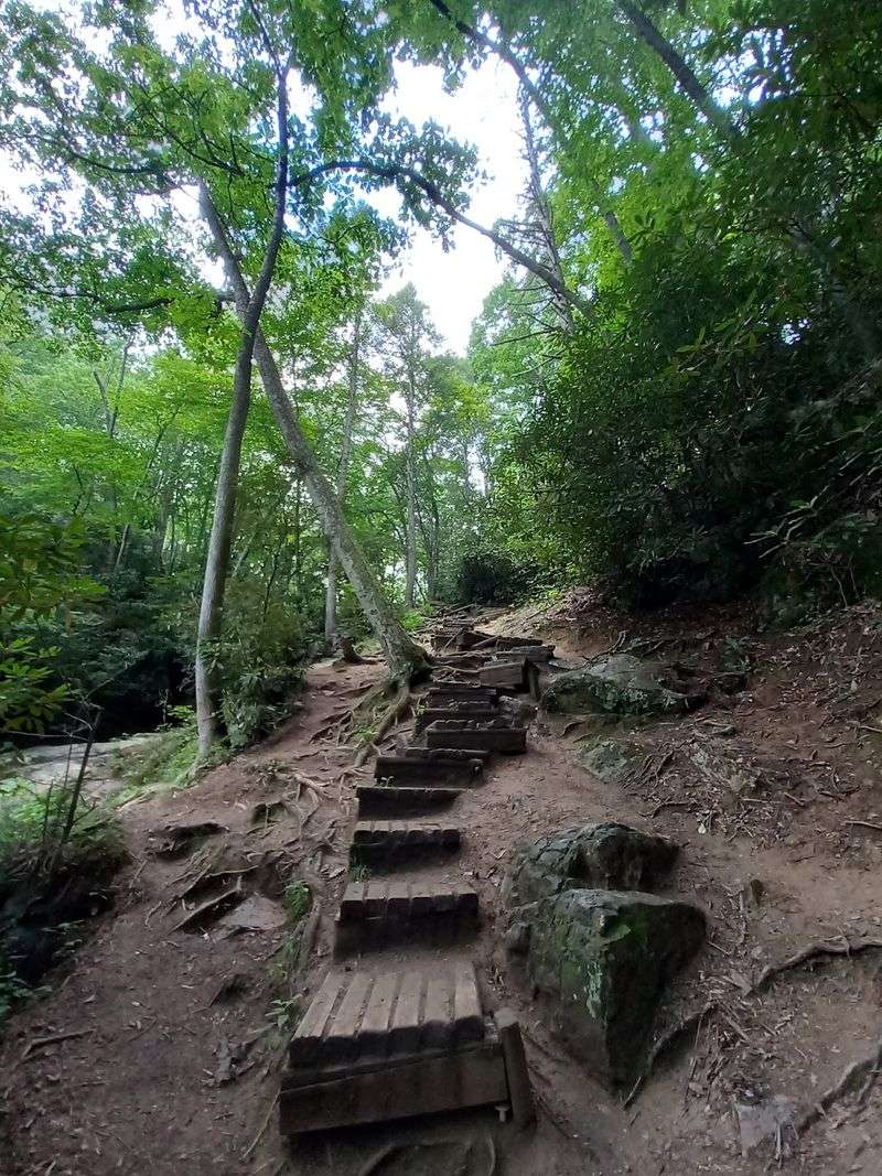 Sturdy Stairs Built Into the Hillside