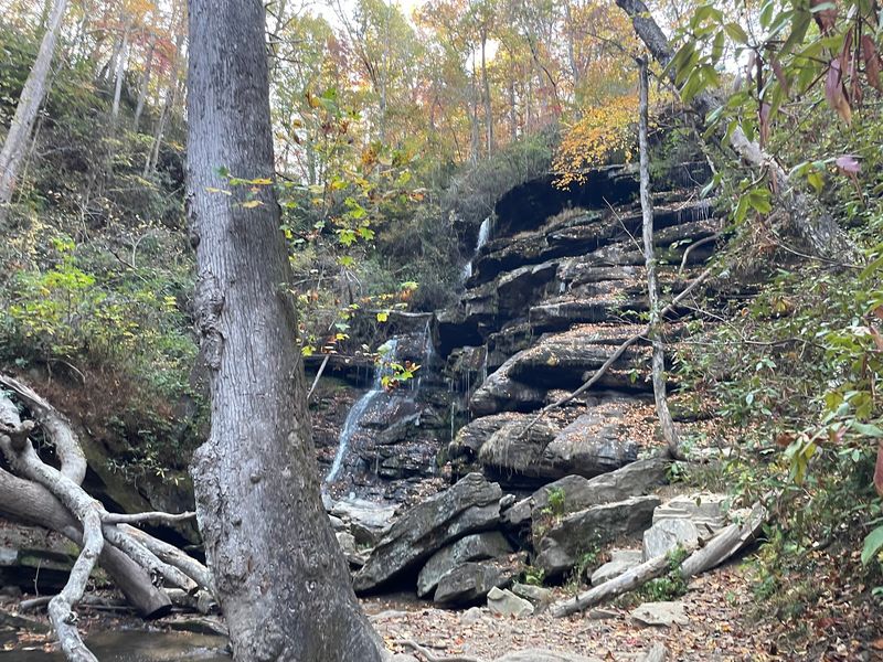 Sumter National Forest and the Andrew Pickens District Sumter National Forest and the Andrew Pickens District