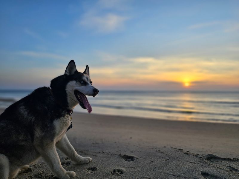 Sunrise, Waves, and the Quiet Hours