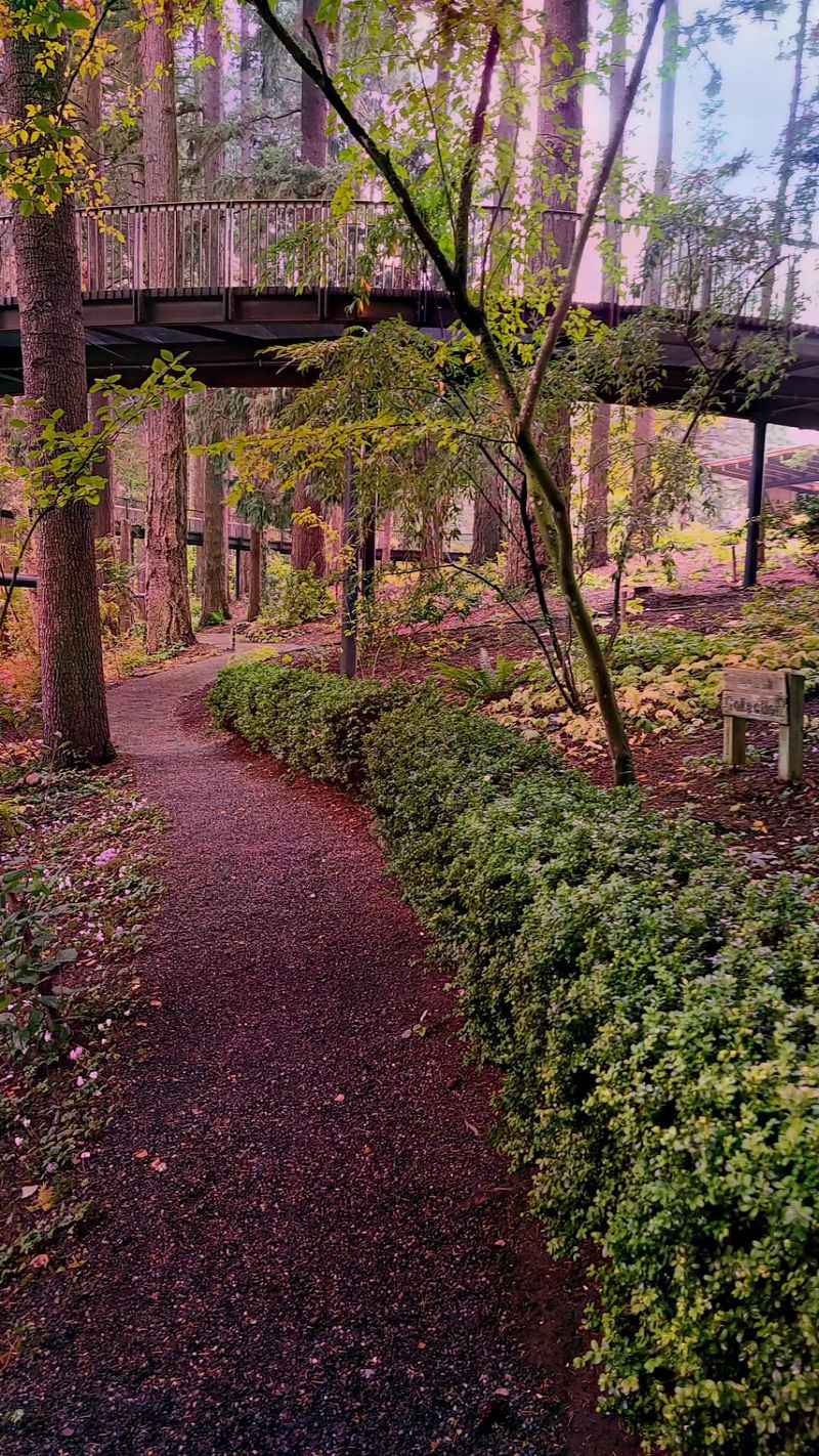 Supporting the Garden: Why It Matters Right Now Supporting the Garden: Why It Matters Right Now