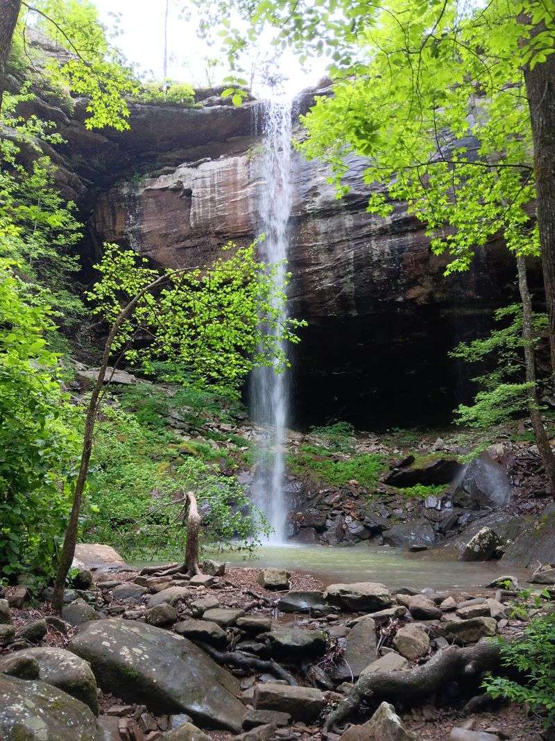 Sweden Creek Falls Trail, Kingston, Arkansas Sweden Creek Falls Trail, Kingston, Arkansas