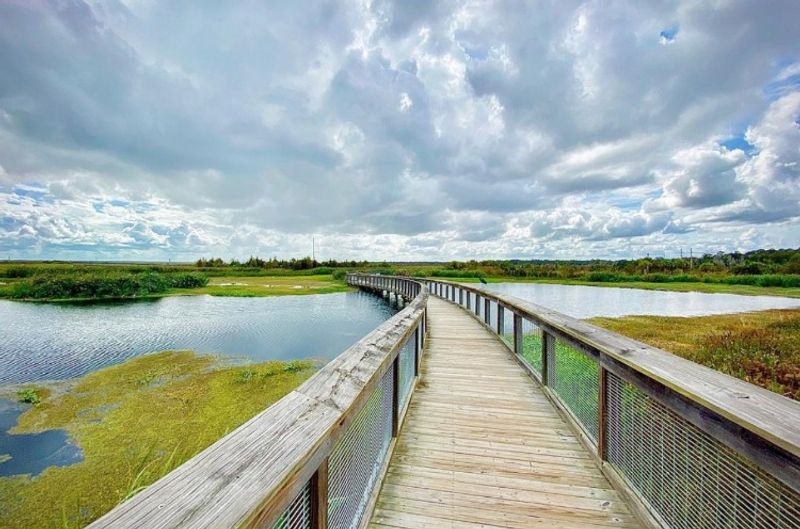 Sweetwater Wetlands Park, Gainesville, Florida Sweetwater Wetlands Park, Gainesville, Florida