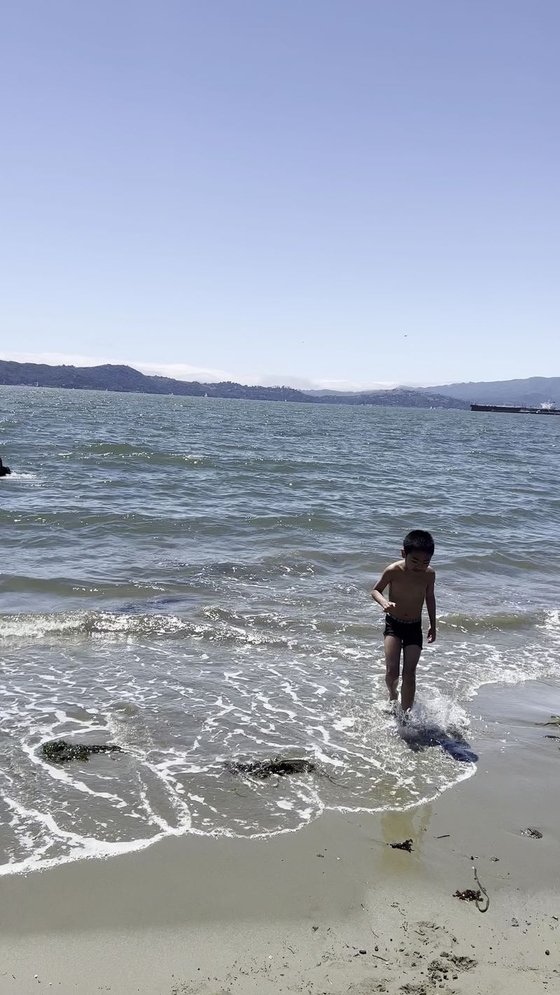 Swimming Straight Into Bay Waters