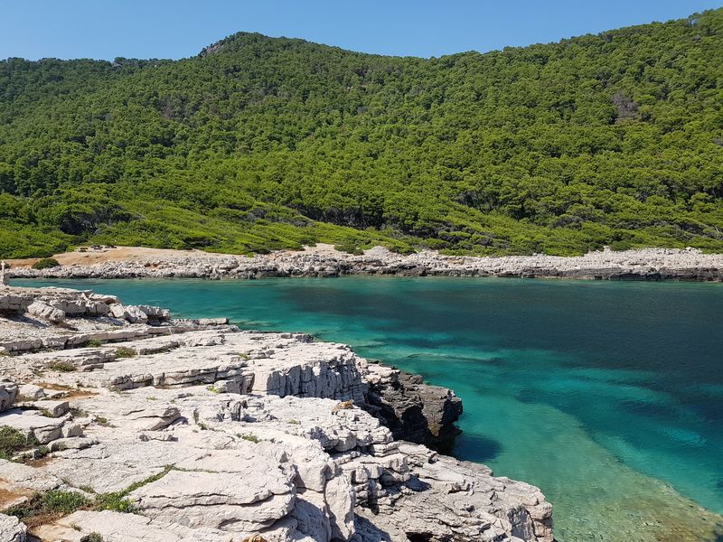 Swimming in Crystal Clear Adriatic Waters