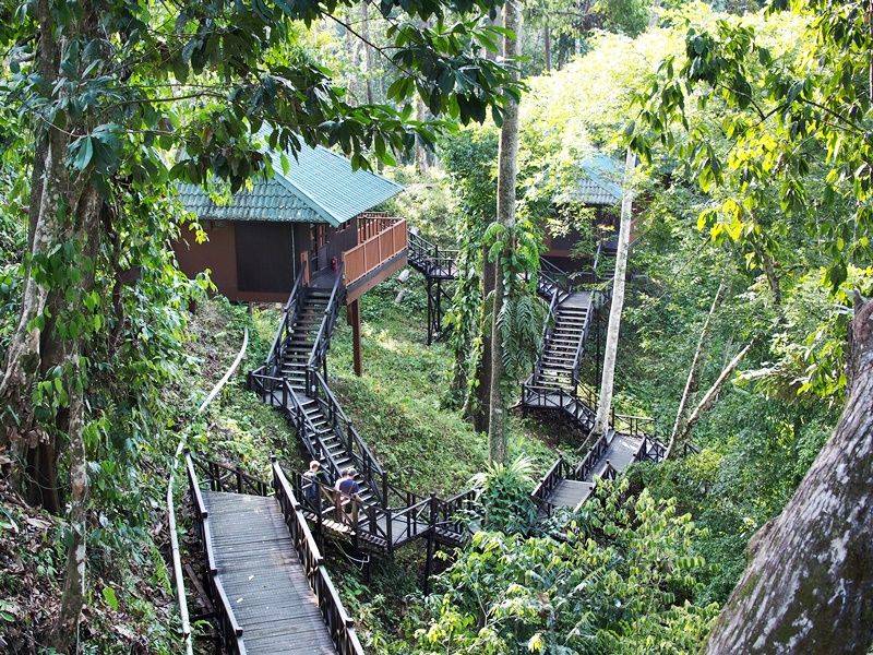 Tabin Wildlife Reserve, Lahad Datu, Sabah, Malaysia Tabin Wildlife Reserve, Lahad Datu, Sabah, Malaysia