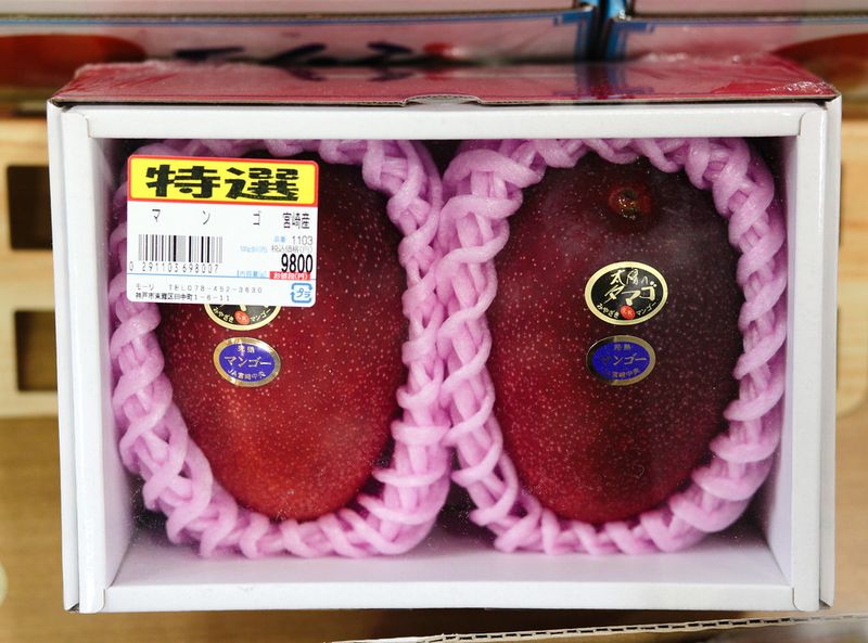 Taiyo no Tamago Mangoes Taiyo no Tamago Mangoes